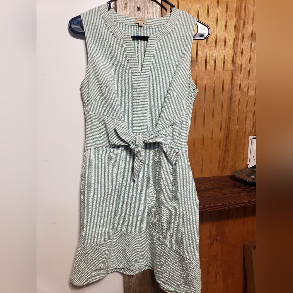 Daniel Cremieux Mint Green and White Sleeveless Tie-Waist Dress
